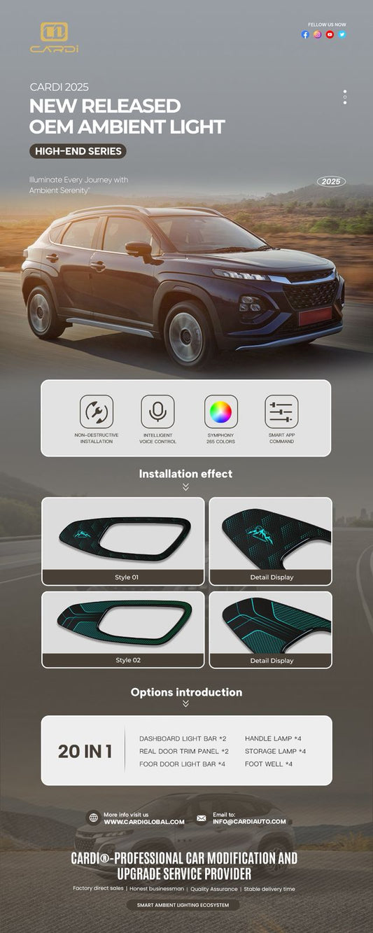 FRONX AMBIENT LIGHT COMPLETE KIT 20 IN ONE