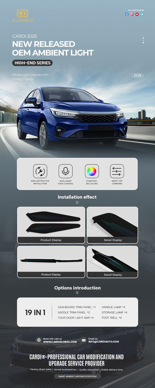 HONDA CITY AMBIENT COMPLETE KIT 19 IN ONE